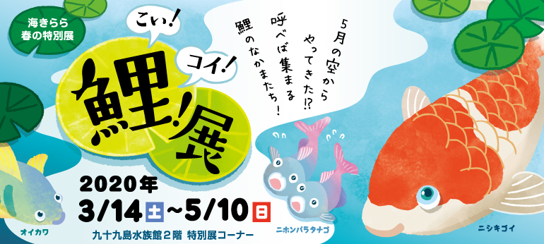 Event – 九十九島水族館海きらら