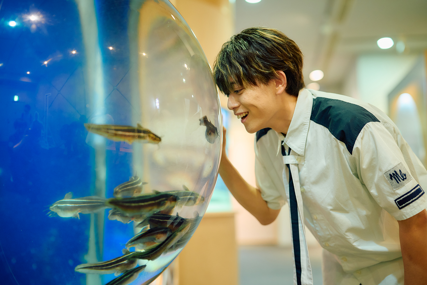 Event – 九十九島水族館海きらら