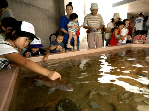 Feeding tank